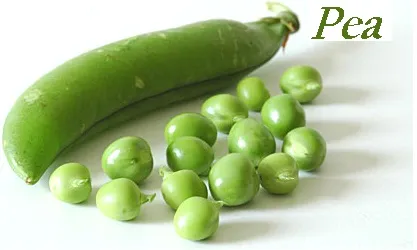 28496 carrots skin whitening