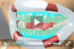 28563 confident smile