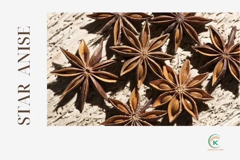 28719 skin brightening foods