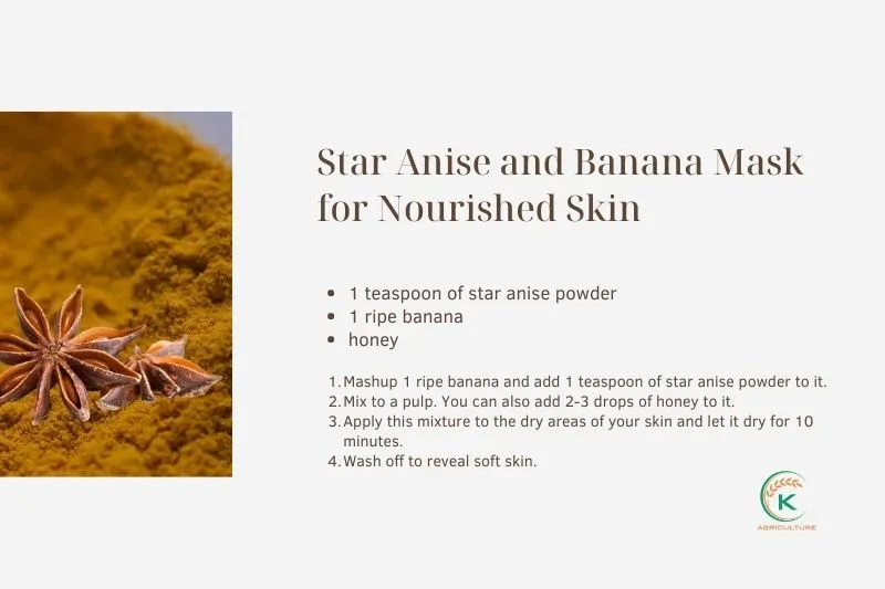 28719 star anise toner