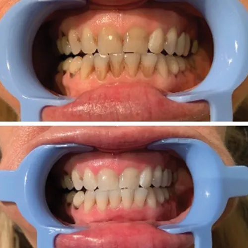 28750 finding dentist midland mi