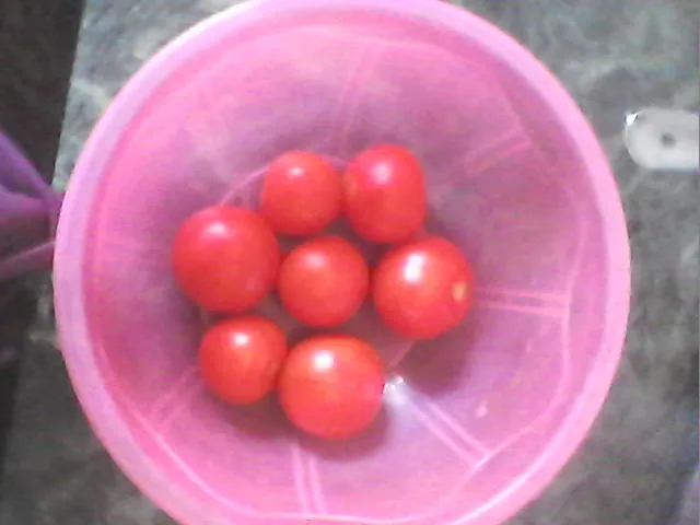 28756 tomato and yogurt mask